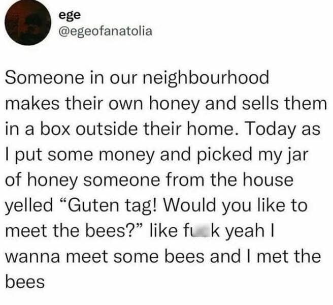 Someone in our neighbourhood makes their own honey and sells them in a box outside their home. Today as I put some money and picked my jar of honey someone from the house yelled "Guten tag! Would you like to meet the bees?" like fu k yeah I wanna meet some bees and I met the bees