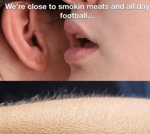 grilling memes, bbqing memes, bbq memes