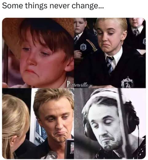 harry potter memes, wizarding world humor, magical memes, Hogwarts jokes, Potterverse memes, spellbinding humor, Dumbledore's laughter spells