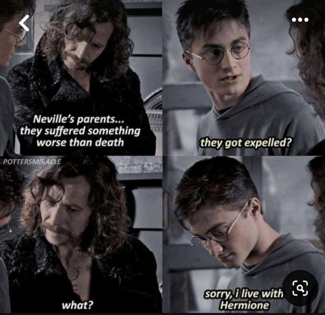 harry potter memes, wizarding world humor, magical memes, Hogwarts jokes, Potterverse memes, spellbinding humor, Dumbledore's laughter spells