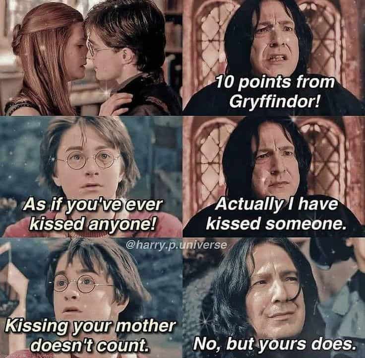 harry potter memes, wizarding world humor, magical memes, Hogwarts jokes, Potterverse memes, spellbinding humor, Dumbledore's laughter spells