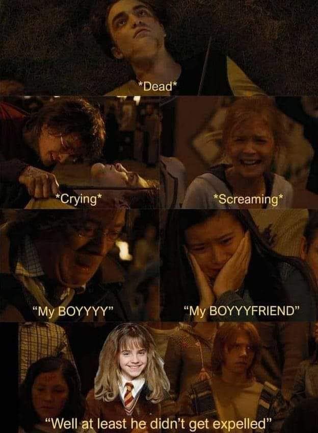 harry potter memes, wizarding world humor, magical memes, Hogwarts jokes, Potterverse memes, spellbinding humor, Dumbledore's laughter spells