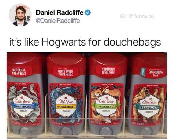 harry potter memes, wizarding world humor, magical memes, Hogwarts jokes, Potterverse memes, spellbinding humor, Dumbledore's laughter spells