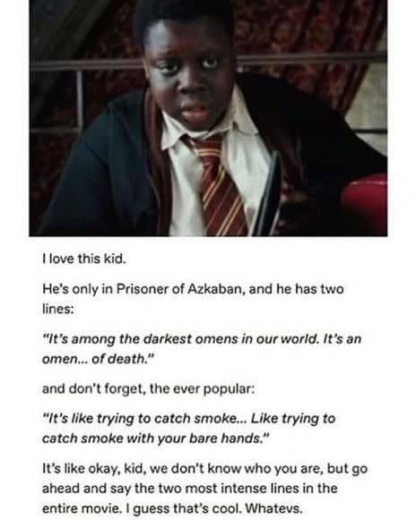 harry potter memes, wizarding world humor, magical memes, Hogwarts jokes, Potterverse memes, spellbinding humor, Dumbledore's laughter spells