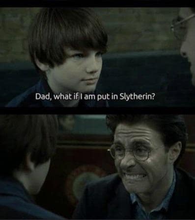 harry potter memes, wizarding world humor, magical memes, Hogwarts jokes, Potterverse memes, spellbinding humor, Dumbledore's laughter spells