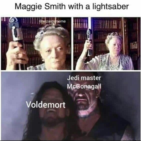 harry potter memes, wizarding world humor, magical memes, Hogwarts jokes, Potterverse memes, spellbinding humor, Dumbledore's laughter spells