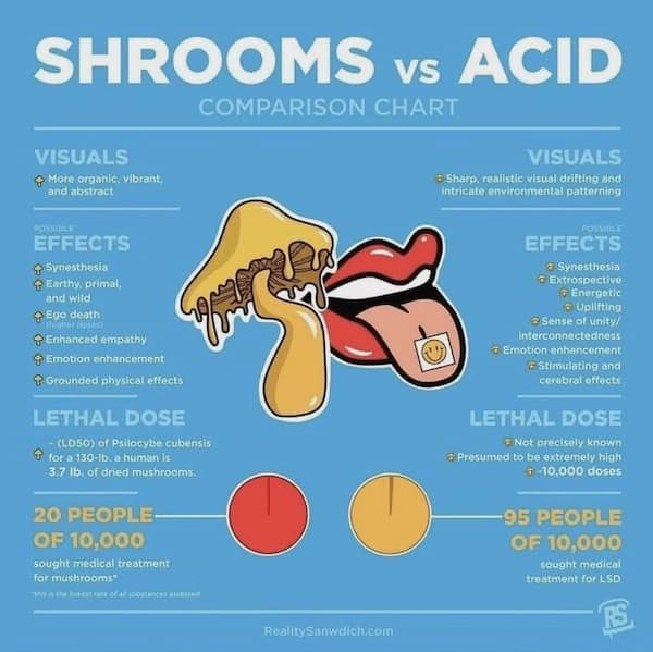 interesting charts, funny infographics, humorous data visualizations, clever charts