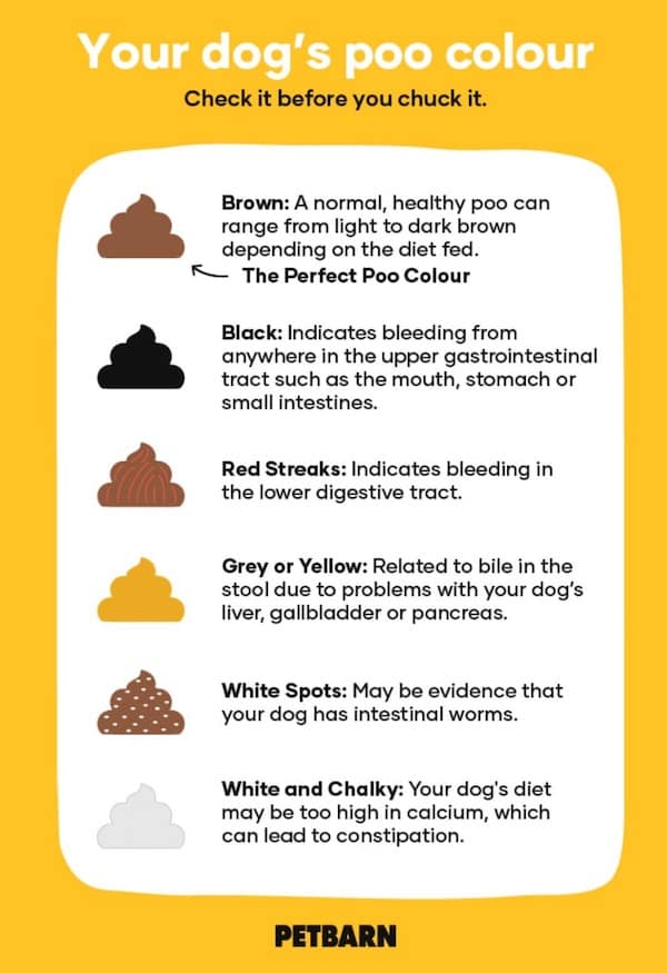 interesting charts, funny infographics, humorous data visualizations, clever charts