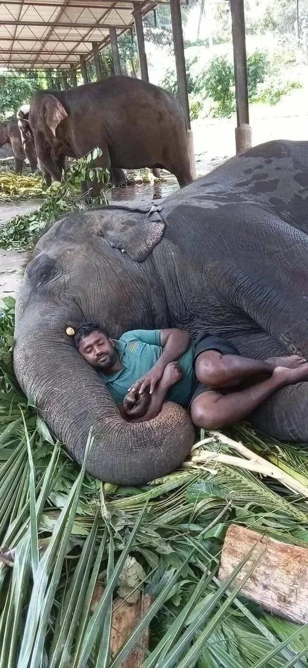 meme dump, funny memes, hilarious memes, funny memes, Sunday humor, laughter therapy, hilarious meme collection, laugh-out-loud memes,