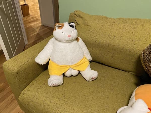 meme dump, funny memes, hilarious memes, funny memes, Sunday humor, laughter therapy, hilarious meme collection, laugh-out-loud memes,