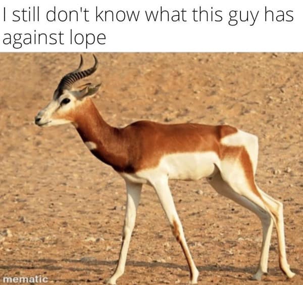 meme dump, funny memes, hilarious memes, Hilarious Content, Lunch Break Laughs, Afternoon Pick-Me-Up, Laughter Therapy, Relatable Humor