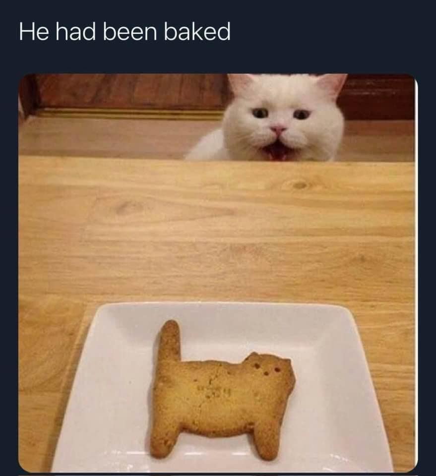 meme dump, funny memes, hilarious memes, lunch break memes, daily laughs, internet comedy, humor compilation, meme buffet, comedy roundup