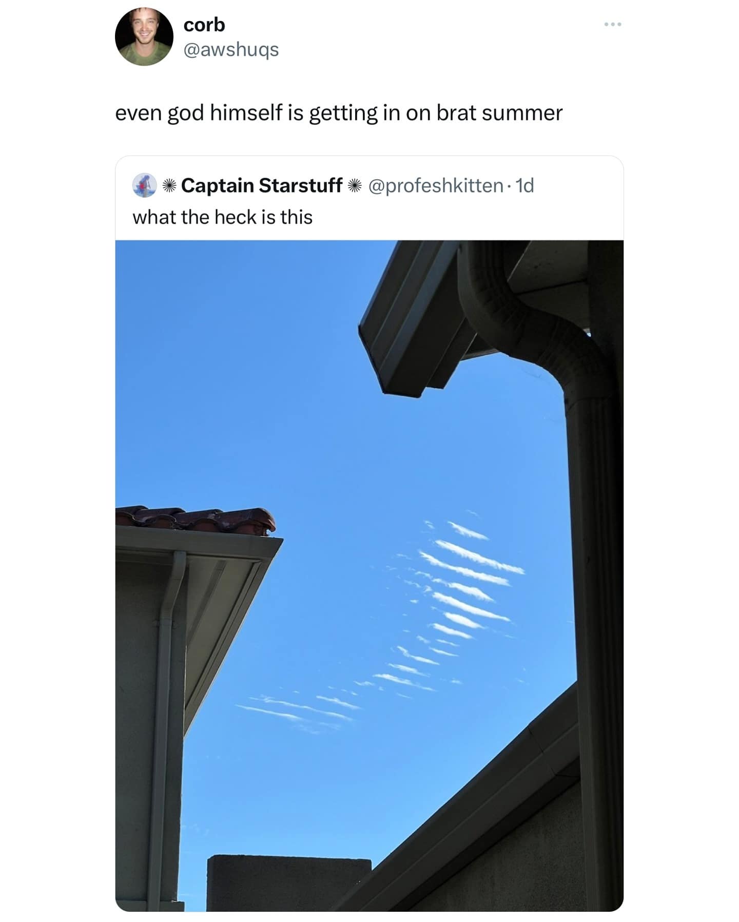 meme dump, hilarious memes, funny memes, lunch break memes, daily laughs, internet comedy, humor compilation, meme buffet, comedy roundup