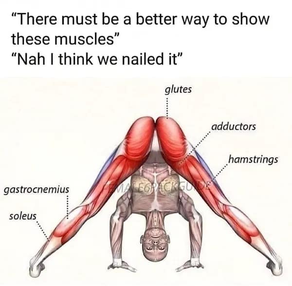 meme dump, funny memes, hilarious memes, lunch break memes, daily laughs, internet comedy, humor compilation, meme buffet, comedy roundup