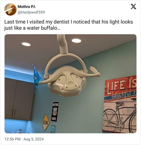 meme dump, funny memes, hilarious memes, lunch break memes, daily laughs, internet comedy, humor compilation, meme buffet, comedy roundup
