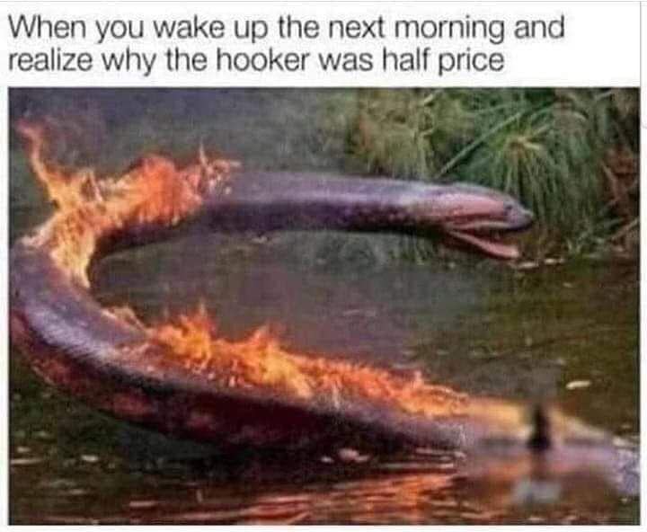 meme dump, funny memes, hilarious memes, lunch break memes, daily laughs, internet comedy, humor compilation, meme buffet, comedy roundup