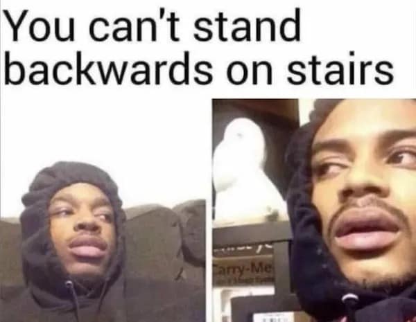 meme dump, funny memes, hilarious memes, lunch break memes, daily laughs, internet comedy, humor compilation, meme buffet, comedy roundup