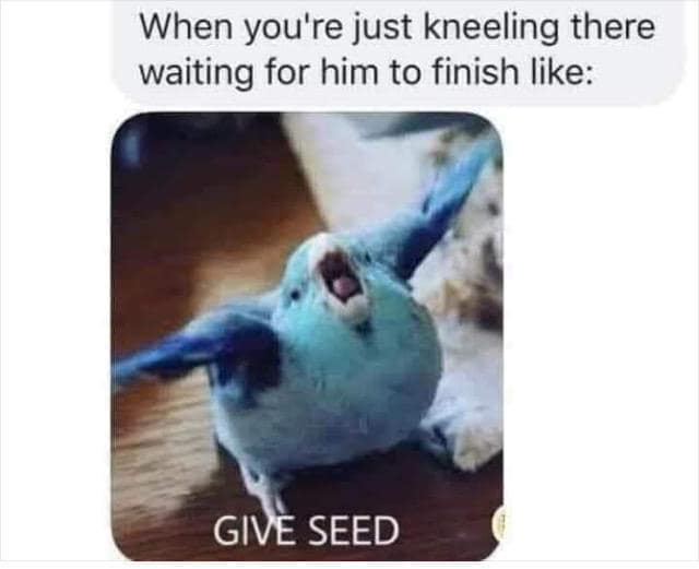 meme dump, funny memes, hilarious memes, Spice up your lunch break with our curated meme dump of 35 hilarious memes! From office shenanigans to random funny memes.