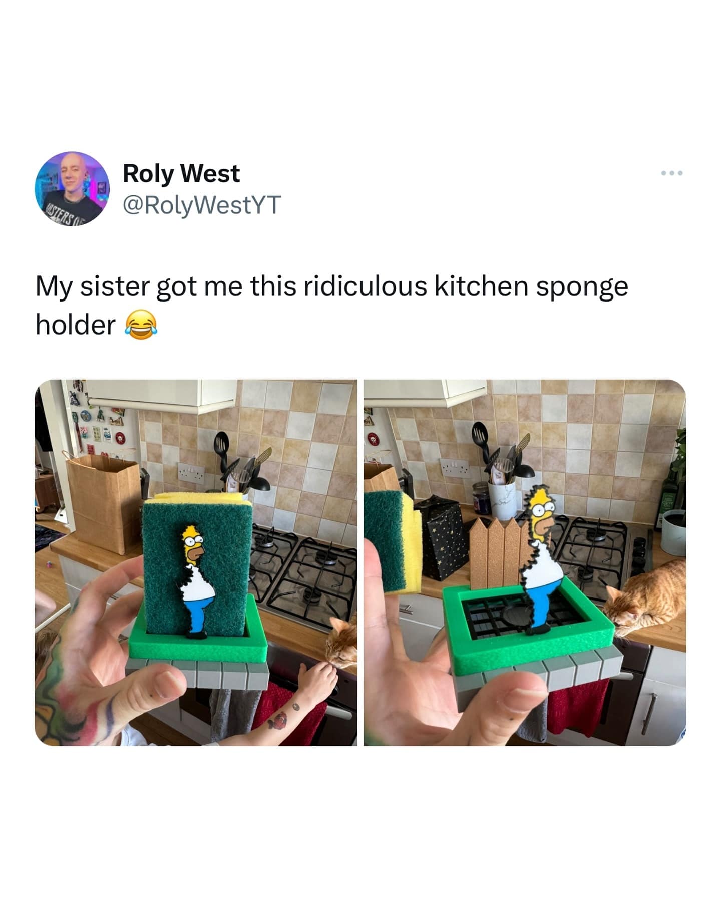 meme dump, hilarious memes, funny memes, lunch break memes, daily laughs, internet comedy, humor compilation, meme buffet, comedy roundup