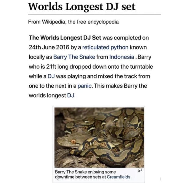 meme dump, funny memes, hilarious memes, lunch break memes, daily laughs, internet comedy, humor compilation, meme buffet, comedy roundup