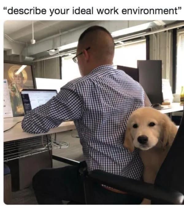 meme dump, funny memes, hilarious memes, Cefkin-fuxvy0-wanrug