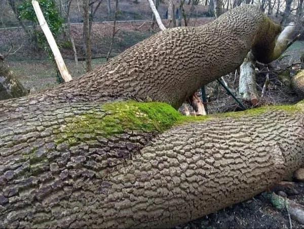 meme dump, funny memes, hilarious memes, Weekend Memes, Hilarious Pictures, LOL-worthy Memes, Trendy Memes, Viral Content