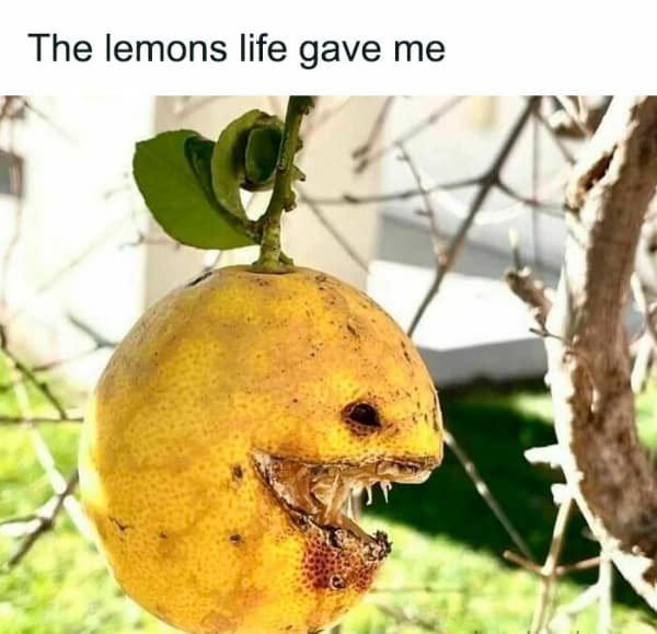 The lemons life gave me