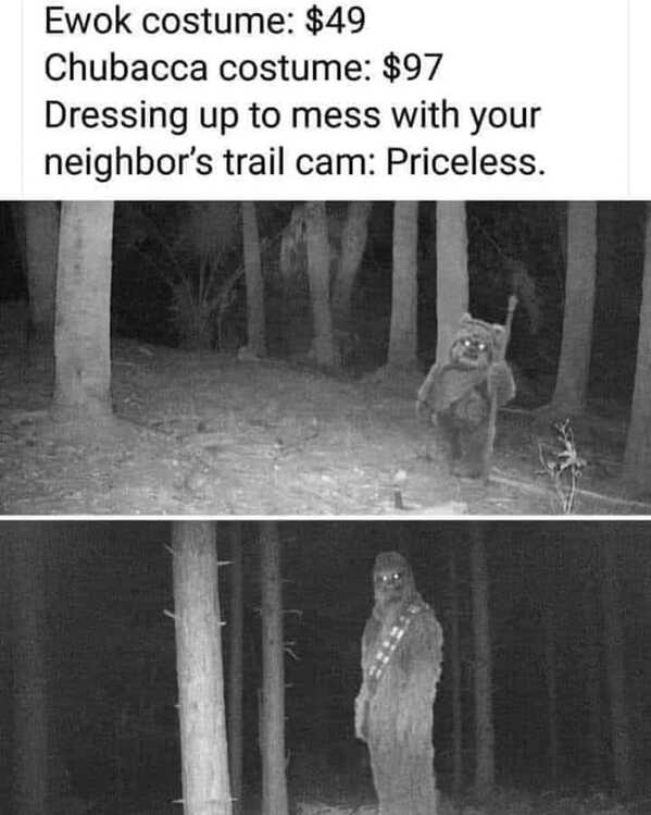 nature memes, outdoor memes, Hiking Memes, Funny Outdoor Content, Hilarious Camping Stories, Amusing Hiking Fails, Wilderness Humor, Backcountry Jokes, Forest Funnies