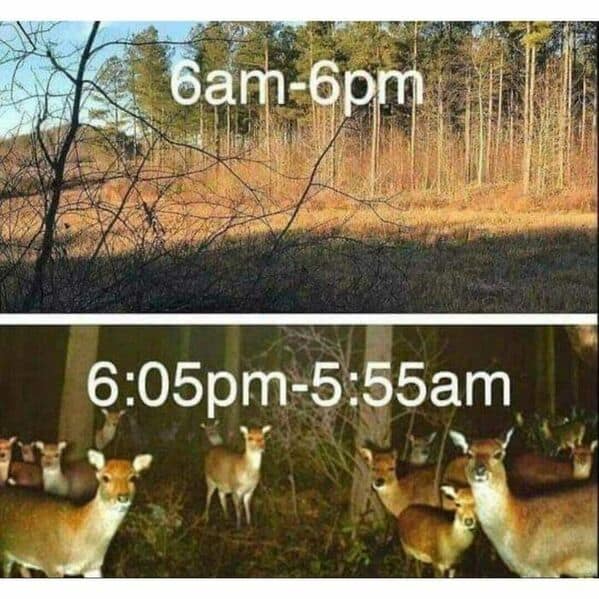 nature memes, outdoor memes, Hiking Memes, Funny Outdoor Content, Hilarious Camping Stories, Amusing Hiking Fails, Wilderness Humor, Backcountry Jokes, Forest Funnies