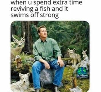 nature memes, outdoor memes, Hiking Memes, Funny Outdoor Content, Hilarious Camping Stories, Amusing Hiking Fails, Wilderness Humor, Backcountry Jokes, Forest Funnies