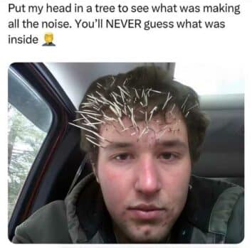 nature memes, outdoor memes, Hiking Memes, Funny Outdoor Content, Hilarious Camping Stories, Amusing Hiking Fails, Wilderness Humor, Backcountry Jokes, Forest Funnies