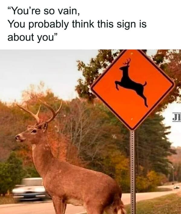 nature memes, outdoor memes, Hiking Memes, Funny Outdoor Content, Hilarious Camping Stories, Amusing Hiking Fails, Wilderness Humor, Backcountry Jokes, Forest Funnies