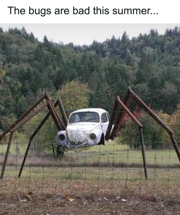 nature memes, outdoor memes, Hiking Memes, Funny Outdoor Content, Hilarious Camping Stories, Amusing Hiking Fails, Wilderness Humor, Backcountry Jokes, Forest Funnies