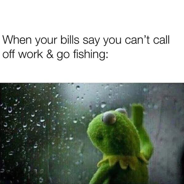 nature memes, outdoor memes, Hiking Memes, Funny Outdoor Content, Hilarious Camping Stories, Amusing Hiking Fails, Wilderness Humor, Backcountry Jokes, Forest Funnies