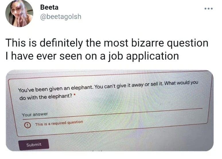 oddly specific memes, niche memes, specific interest memes, obscure online jokes, targeted humor memes