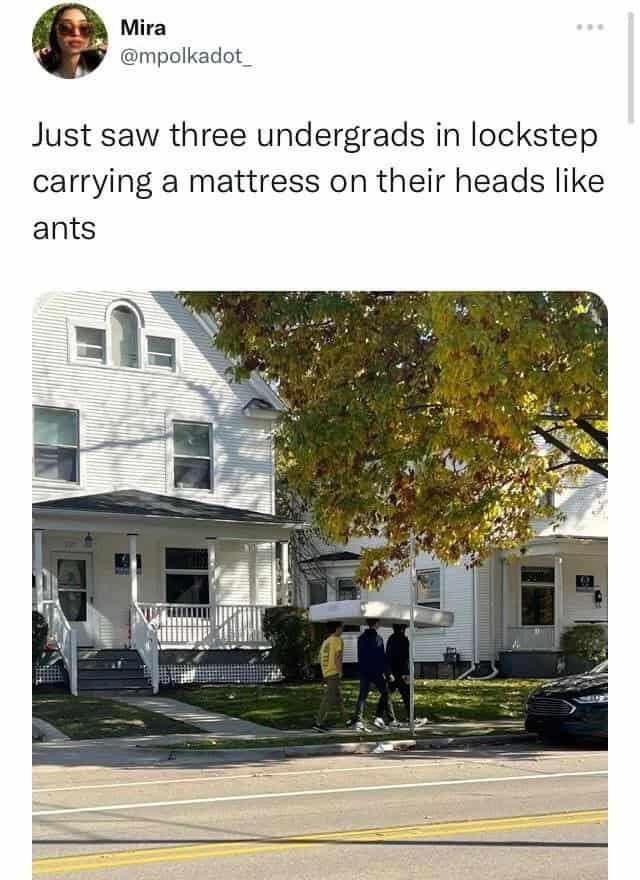 oddly specific memes, niche memes, specific interest memes, obscure online jokes, targeted humor memes