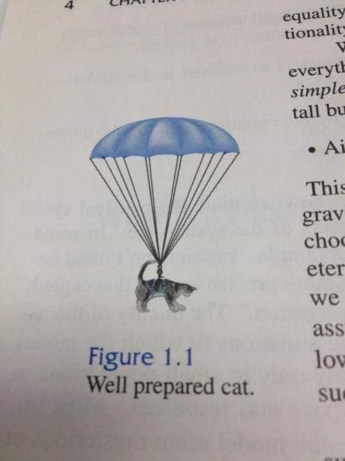 Figure 1.1 Well prepared cat.