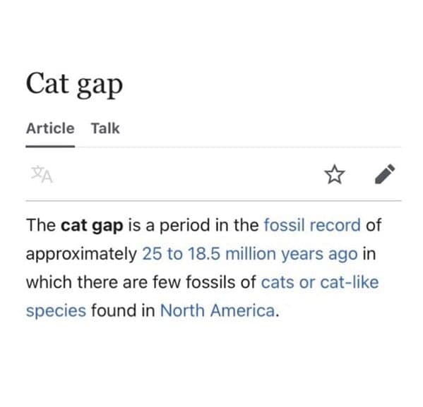 The cat gap is a period in the fossil record of approximately 25 to 18.5 million years ago in which there are few fossils of cats or cat-like species found in North America.