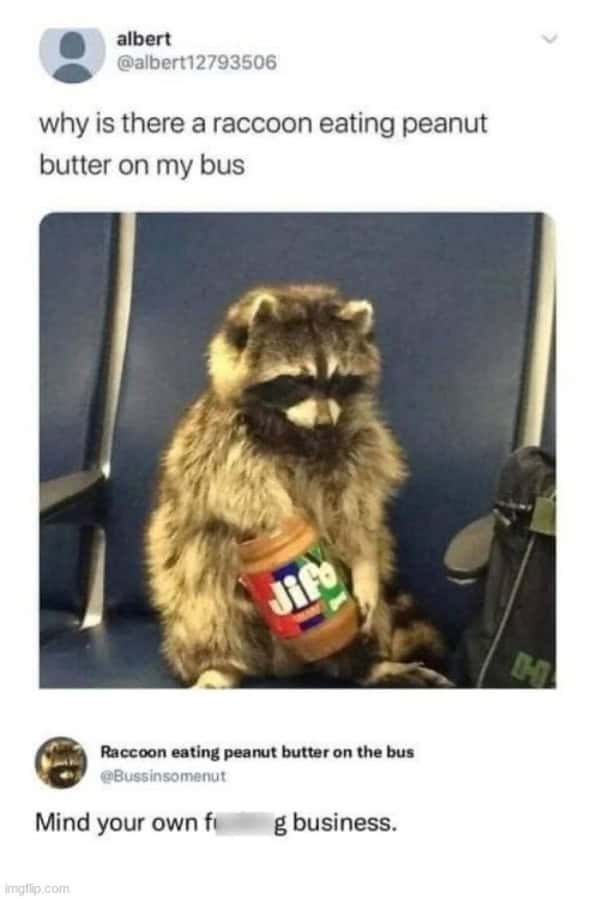peanut butter memes, Nut Butter Memes, PB&J Memes