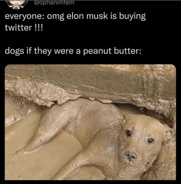 peanut butter memes, Nut Butter Memes, PB&J Memes