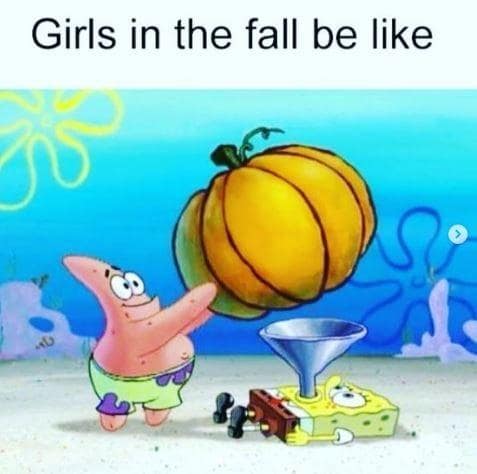 pumpkin spice latte memes, PSL memes, Starbucks memes