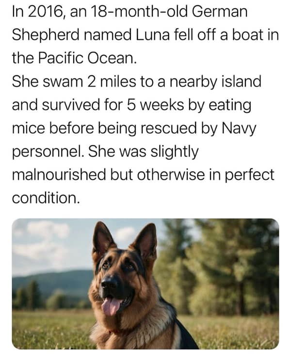 random facts, weird facts