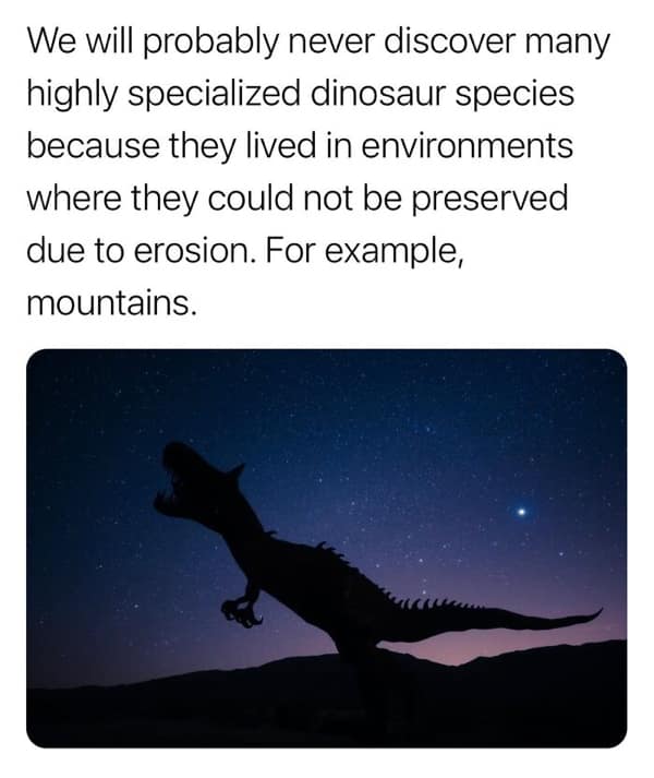 random facts, weird facts