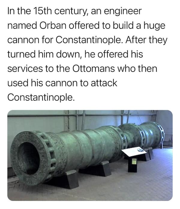 random facts, weird facts