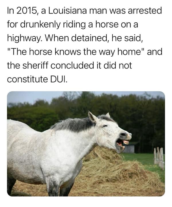 random facts, weird facts