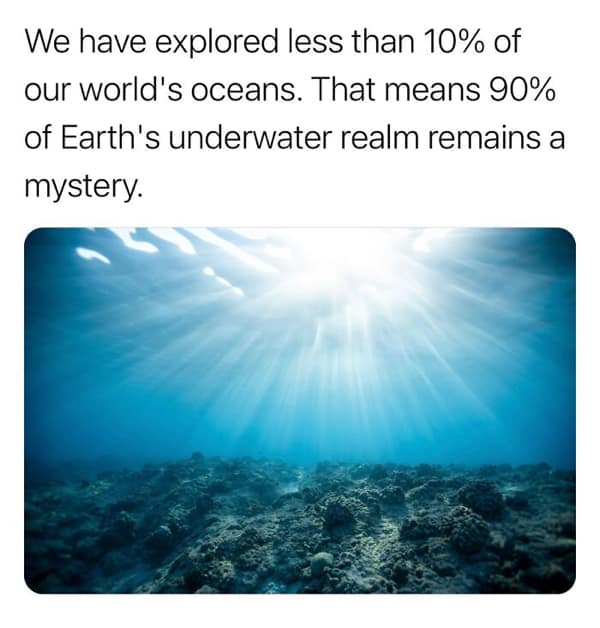 random facts, weird facts