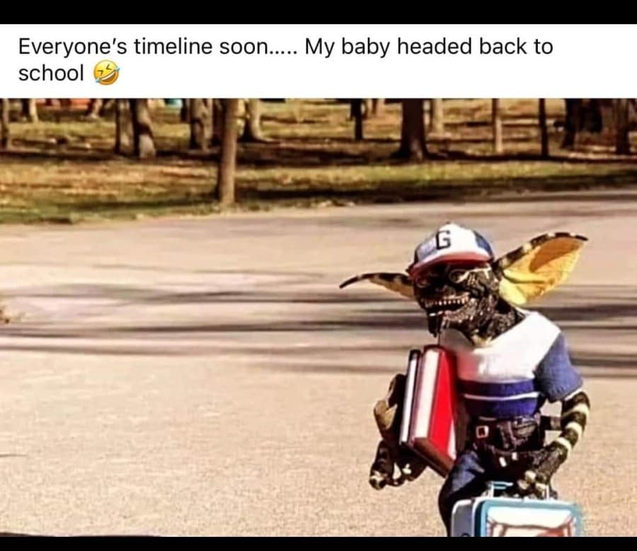 relatable memes, Funny Memes, Hilarious Memes, Amusing Memes