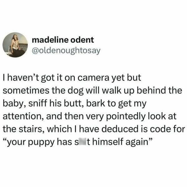 relatable memes, Funny Memes, Hilarious Memes, Amusing Memes