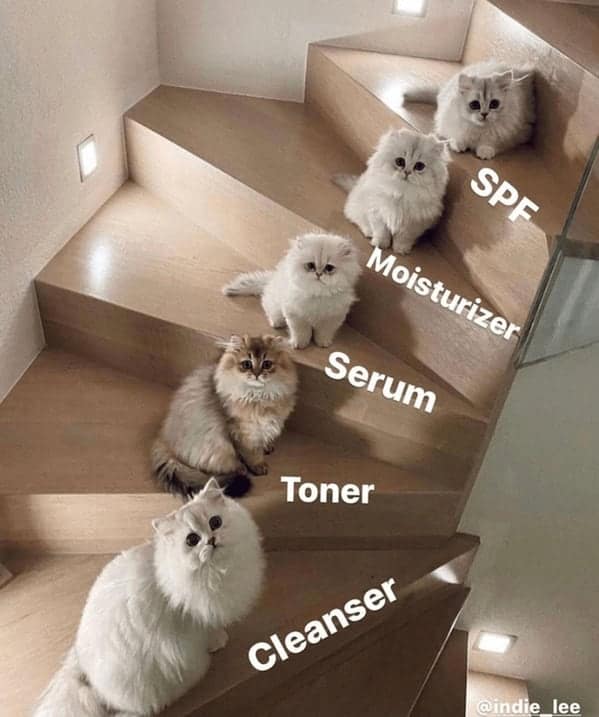 skincare memes, Beauty Memes, Skincare Routine Memes, Skincare Struggles Memes