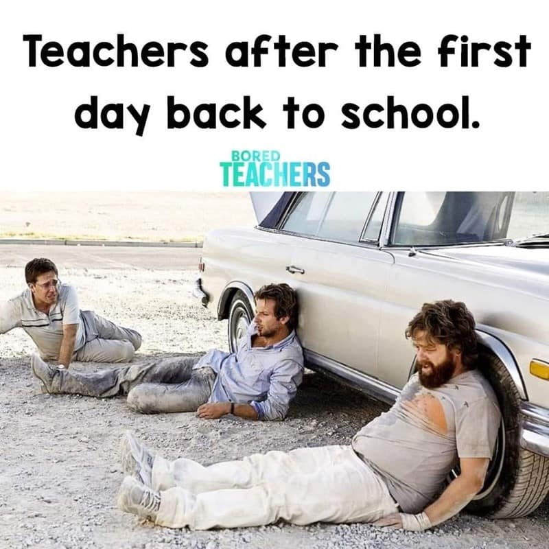 teacher memes, funny teacher memes, school memes, education memes, humorous teacher memes, teacher humor, classroom memes, student memes, learning memes, academic memes